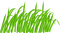 Herbe - Free PNG Animated GIF