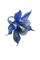 fleur bleue - бесплатно png анимированный гифка