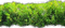 Gartenhecke - Free PNG Animated GIF
