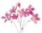 Fleurs.Pink.Flowers.Bouquet.Victoriabea - PNG gratuit GIF animé