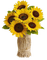 Tournesol94 fleur - darmowe png animowany gif