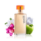 Perfume Fruit Flowers Deco - Bogusia - png gratis GIF animasi