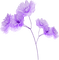 blume flowers - zdarma png animovaný GIF