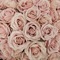 Light Pink Roses - png grátis Gif Animado