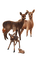 loly33 cerf - kostenlos png Animiertes GIF