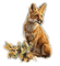 dolceluna fox - δωρεάν png κινούμενο GIF