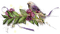 oiseau violet.Cheyenne63 - Free PNG Animated GIF
