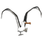 seagull - darmowe png animowany gif