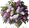 patymirabelle fleurs lila mauve - PNG gratuit GIF animé