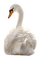 Kaz_Creations Birds Bird Swan