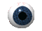 eye-NitsaPap
