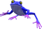Grenouille - Free PNG Animated GIF