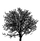 дерево - Zdarma animovaný GIF animovaný GIF