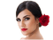 Spanish woman bp - Free PNG Animated GIF