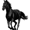 pferd horse milla1959 - Free PNG Animated GIF