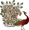 peacock bp - zdarma png animovaný GIF