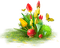 Cluster.Spring.Flowers.Red.Yellow.Green