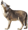 Wolf - Free PNG Animated GIF