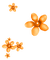 Pearl.Flowers.Orange - PNG gratuit GIF animé