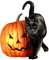 pumpkin katrin - png gratuito GIF animata