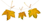 Ahornblätter - darmowe png animowany gif