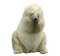 Ours blanc - Free PNG Animated GIF
