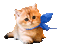 Animated Cat Chat Kitty Kitten with Blue Bow - GIF animé gratuit GIF animé