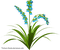 Planta con flores - png ฟรี GIF แบบเคลื่อนไหว