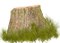 tree stump - ilmainen png animoitu GIF