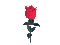 Flor vermelha - 無料のアニメーション GIF アニメーションGIF