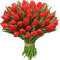 красные тюльпаны - png ฟรี GIF แบบเคลื่อนไหว