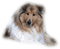 patymirabelle chien - bezmaksas png animēts GIF