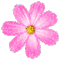 Flowers dm19 - GIF animado gratis GIF animado