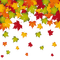 AUTUMN LEAVES border frame -- automne feuilles cadre deco