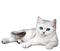 chat - Free PNG Animated GIF