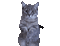 Nina cat - Ücretsiz animasyonlu GIF animasyonlu GIF