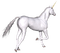 white unicorn fantasy - png gratuito GIF animata