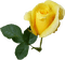 patymirabelle fleurs - gratis png animeret GIF