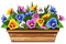 Kaz_Creations Spring Deco Flowers - бесплатно png анимированный гифка