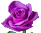 Roses roses, animation gif Pelageya