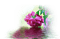 blomma-mörkrosa---flower-dark pink - gratis png animeret GIF