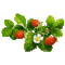 fraises - GIF animado gratis GIF animado