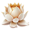 lotus flower Bb2 - gratis png animeret GIF
