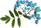 kvist-bär-blå - ilmainen png animoitu GIF