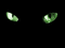 Ojos en la oscuridad - GIF animé gratuit