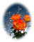 patymirabelle fleurs rose - bezmaksas png animēts GIF