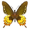 Papillon ** - GIF animado gratis GIF animado