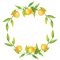 kikkapink tangerine fruit deco circle frame