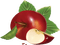 apfel apple milla1959 - ücretsiz png animasyonlu GIF
