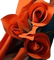 ROSE ROSSE - бесплатно png анимированный гифка